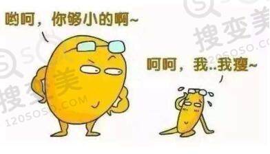 脂肪细胞