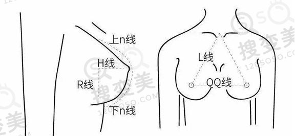 关于乳房的那些知识，你知道多少呢？