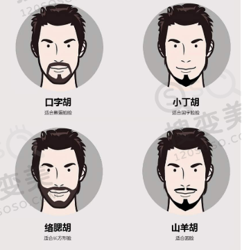 种植胡须的价格是多少？