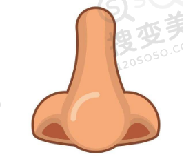 隆鼻整形