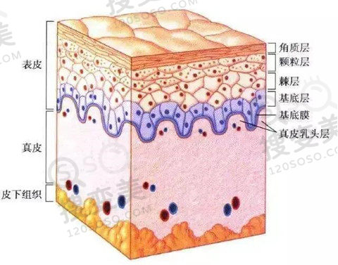 每天补水却依然脱皮，原因竟然是这个！