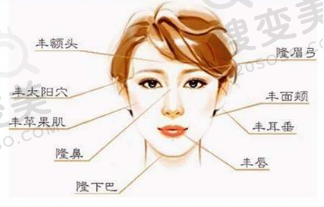 自体脂肪可填充部位