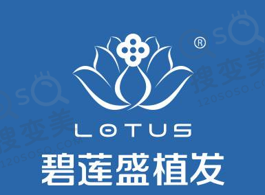 碧莲盛