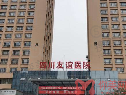 中国十大整形医院排行榜
