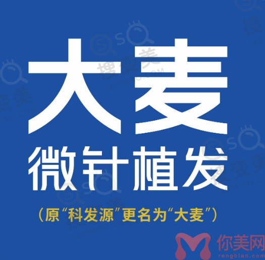 大麦和碧莲盛哪个更靠谱？