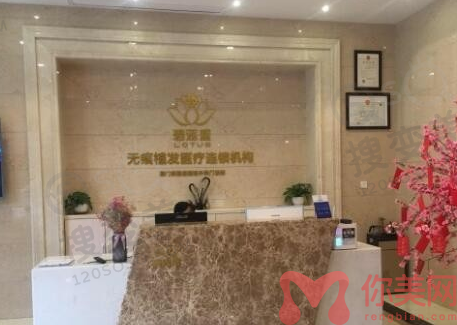 厦门碧莲盛植发