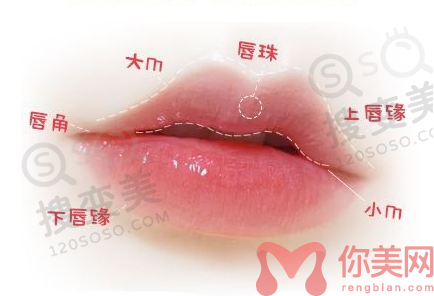 微笑唇