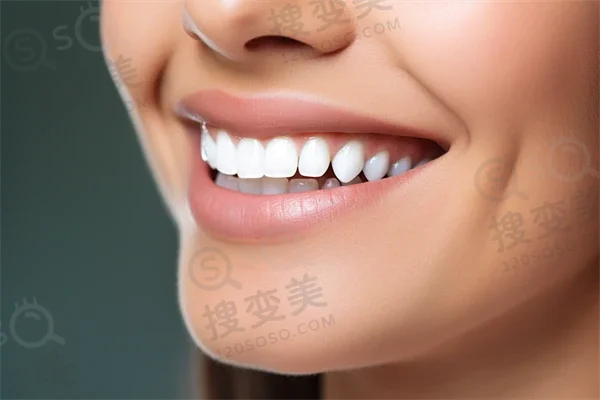 创作小狗