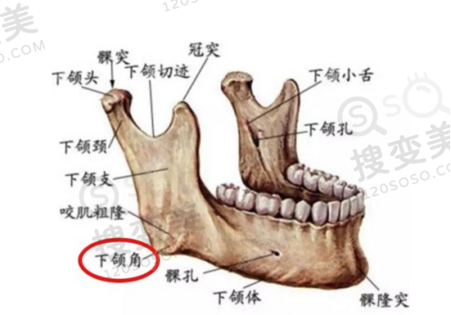 温州艺星整形医院新型且精良的设备设施