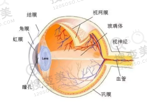 沧州爱尔眼科医院免费询问与急诊服务
