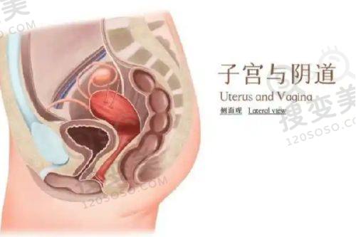 重庆松山口腔医院电话是多少?可预约肖林做地包天矫正,口碑佳——术后护理要点