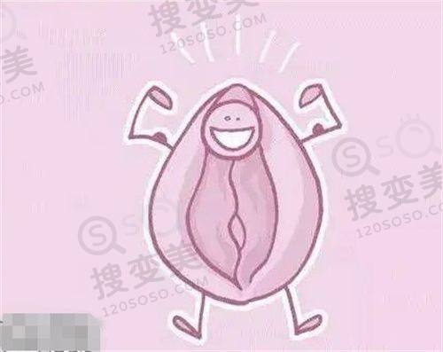 北京朵云汇医疗美容价格表之鼻部整形项目