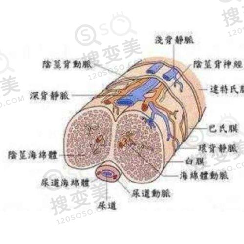 重庆松山医院特色与惠民举措有哪些?贴心服务患者