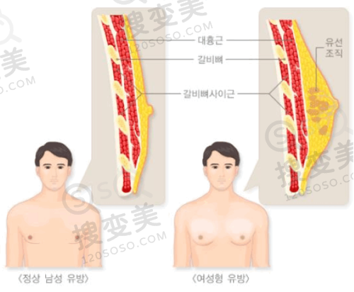 任丘市普济医疗美容双眼皮价格之真人实例见证成效