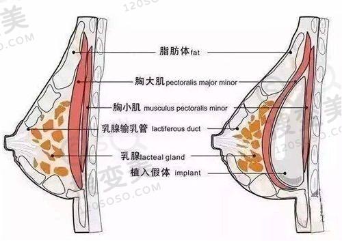 重庆松山医院整形科收费标准揭秘！其他医生优势与手术价格