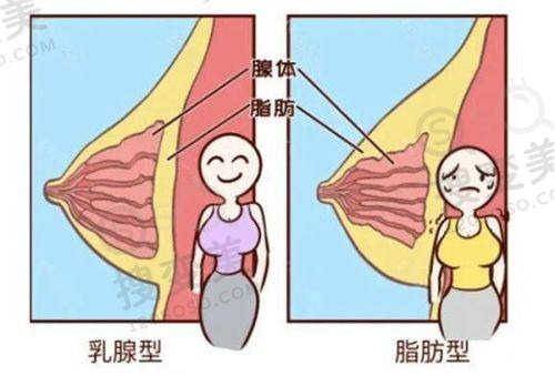 重庆松山医院口腔科电话是多少？客服/急诊/挂号电话揭秘及收费参考 