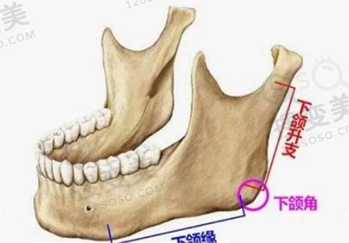 重庆松山医院到院交通揭秘：多种方式轻松抵达