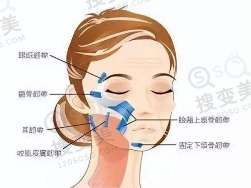 北京延世医疗美容价格表之其他特色项目收费情况