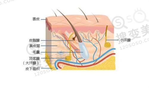 重庆松山医院隆鼻怎么样？段艳军三角桁式支架技术，多案例见证美鼻蜕变 