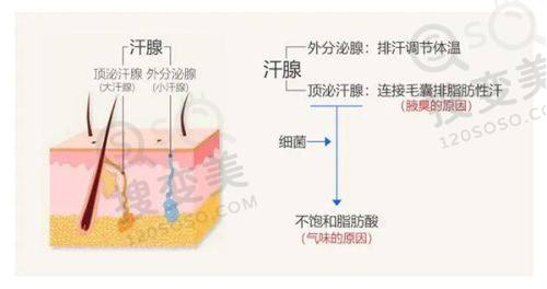 重庆松山医院隆鼻怎么样?段艳军技术优,真人实例成效好——三角桁式支架技术亮点