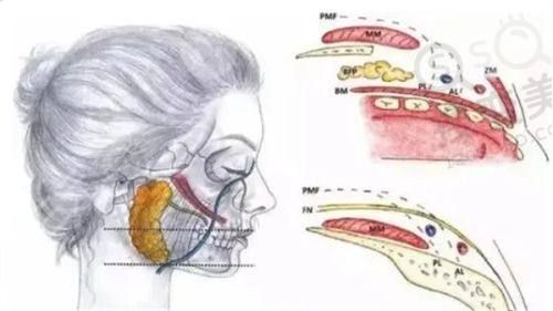 重庆松山医院眼科罗医生简介:擅长眼底病治疗,技术不错口碑好,可预约挂号——患者口碑与评价