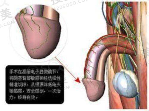韩国全身吸脂价格一览表之按斤收费标准