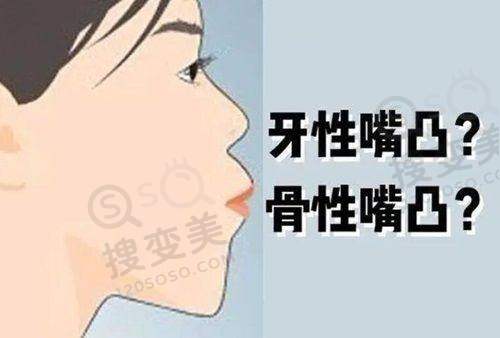 6、北京博尔口腔门诊部收费价格表/收费标准
