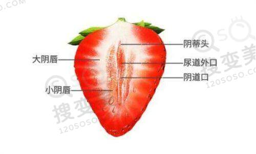 长沙凯莱刘凯做鼻子为什么那么贵之高超技术的支撑