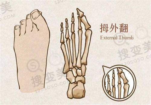 吕方中个人简历之成功实例
