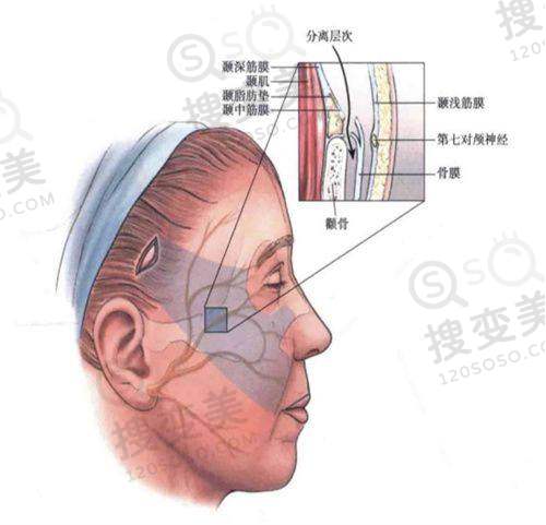 吕方中在广州还是深圳:医生技术与口碑