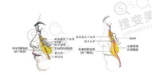 吕方中医生的坐诊时间是怎样安排的?——常见问题解答