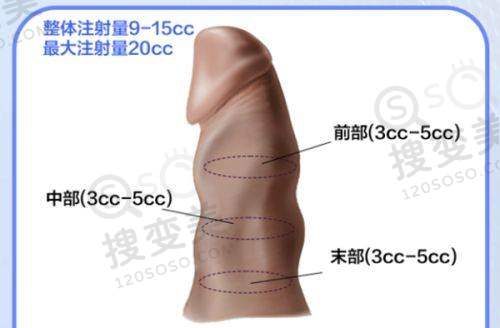 刘学宝医生价格表