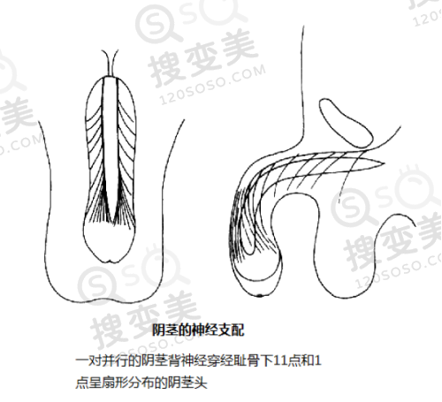 美奥口腔2024年牙齿美白收费标准