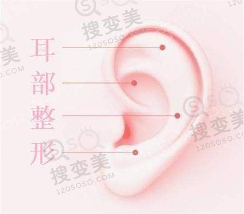 赛罗菲:韩国高端胶原蛋白品牌