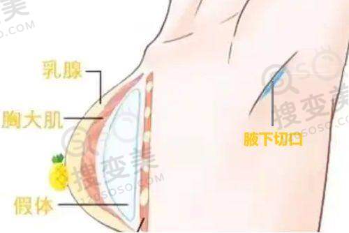 美奥口腔2024年其他服务收费标准
