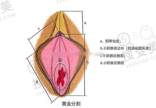 健丽医疗美容之杭州分院情况