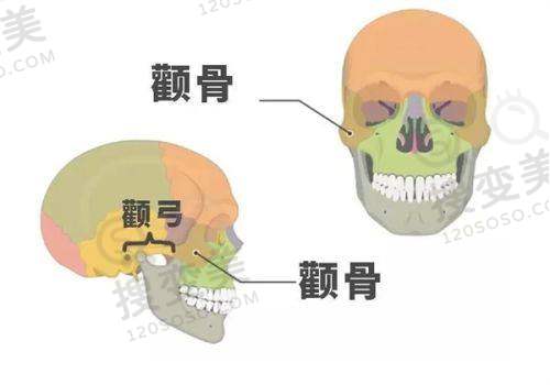 上海九龙男子医院正规吗？——患者评价与口碑