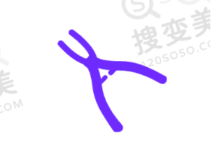 北京拔牙需要多少钱一颗？多医院价格对比及口碑评价大揭秘 