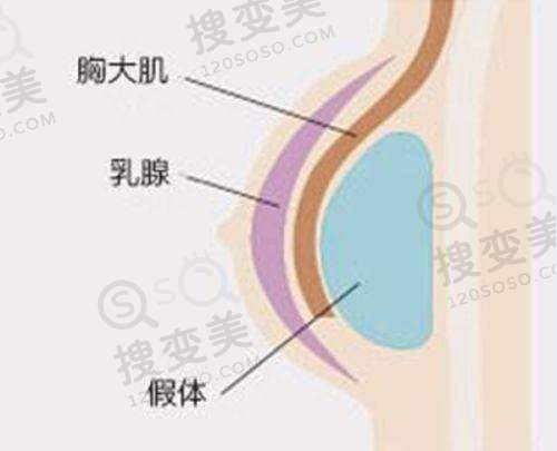 袁新平医生执医荣誉