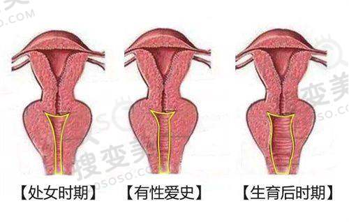 董红星院长价格表