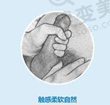 刘洋院长坐诊医院