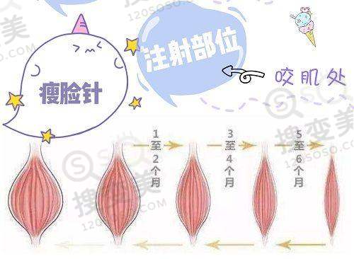宋新医生执医荣誉