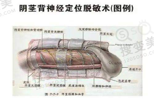 余建军 医生口碑评价及真人实例