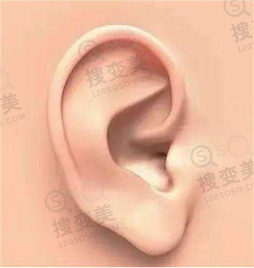 李红娟医生技术优势