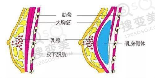 史景辉医生擅长项目