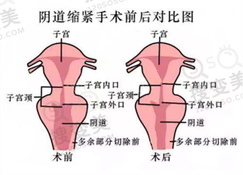 于新医生擅长项目