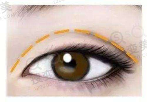 孟庆鹏院长预约挂号