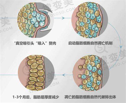 连园园院长预约挂号