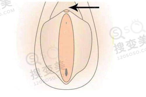 姜印医生价格表