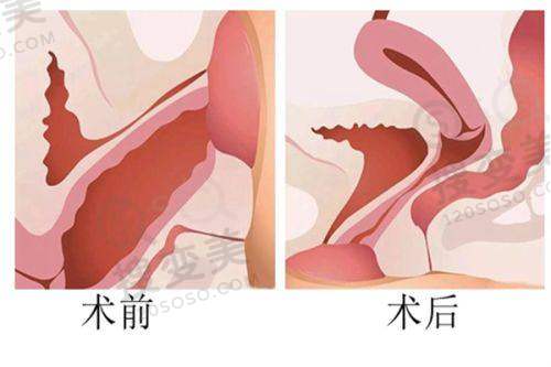 杨晓月医生执医荣誉